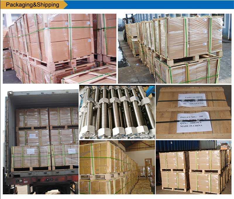 Упаковка з нержавіючої сталі-болти-гвинти-кріплення